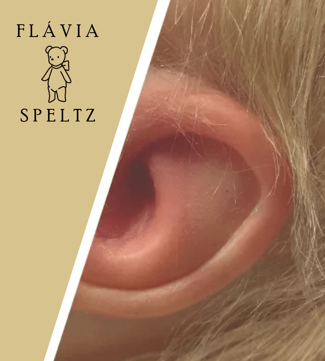 BANNER FLAVIA SPELTZ