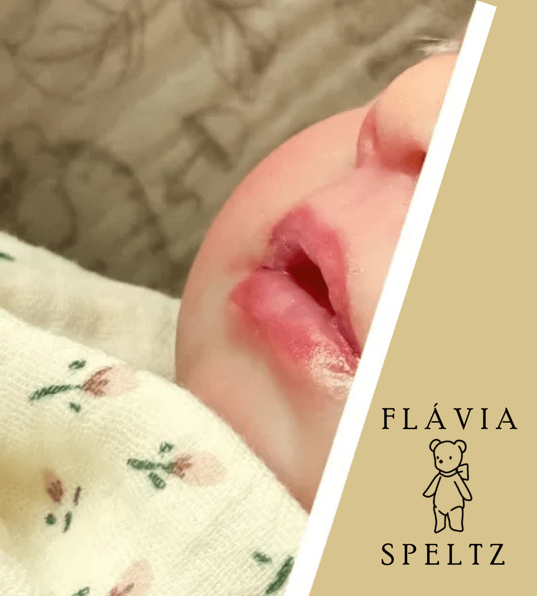 BANNER FLAVIA SPELTZ