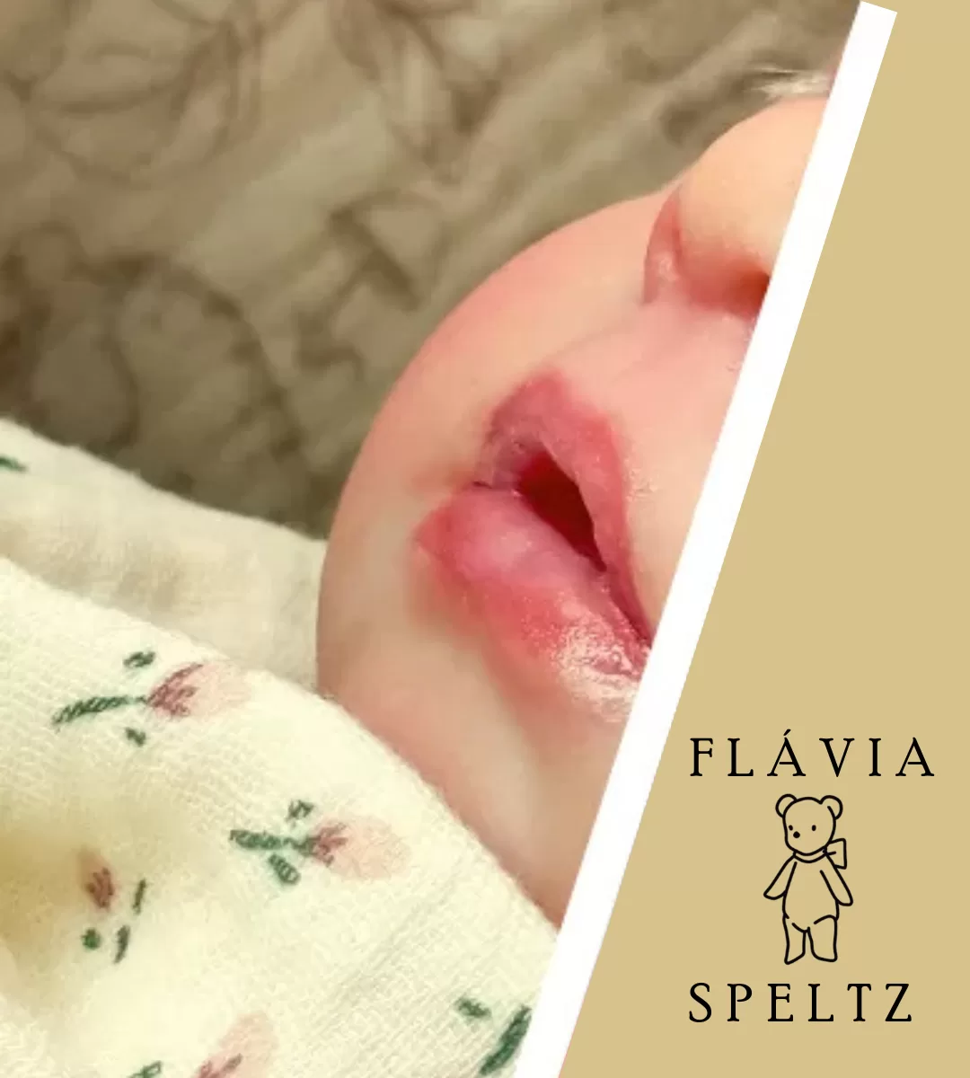 BANNER FLAVIA SPELTZ