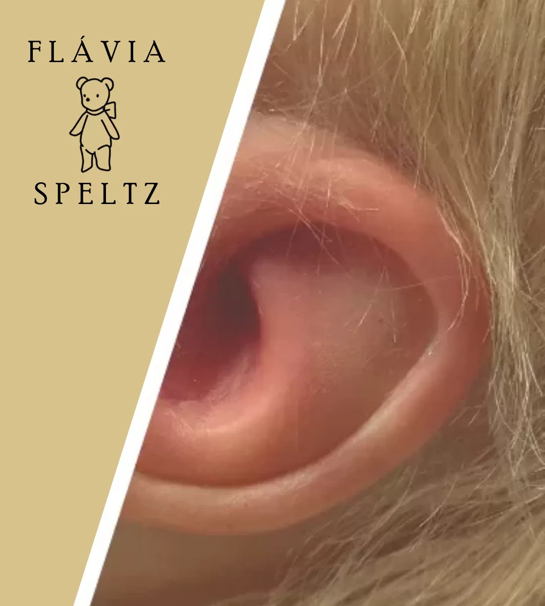 BANNER FLAVIA SPELTZ